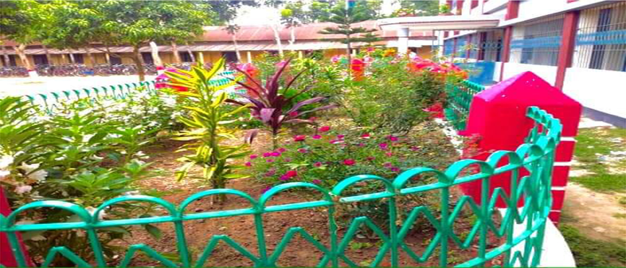 School Garden